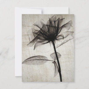 Big Vintage X-Ray Flower Card