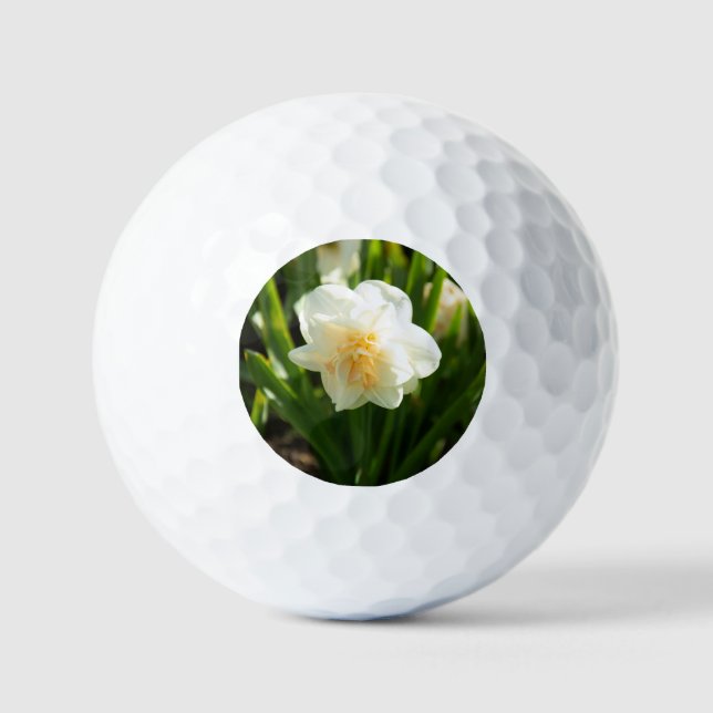 Big white daffodils on a spring day  golf balls (Front)