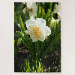 Big white daffodils on a spring day  jigsaw puzzle