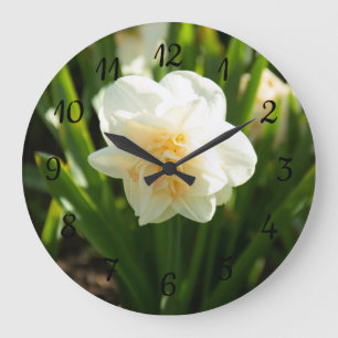Big white daffodils on a spring day large clock