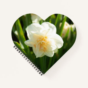 Big white daffodils on a spring day  notebook