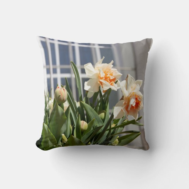 Big white daffodils on a spring day poster throw p cushion (Front)