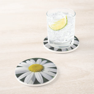 Big White Daisy Coaster