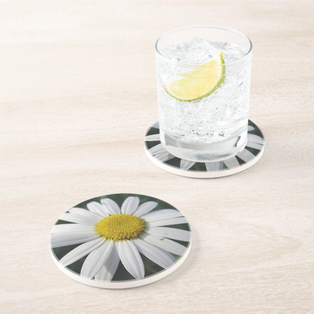 Big White Daisy  Coaster (Side)