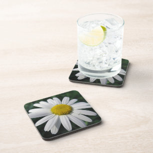 Big White Daisy Coaster