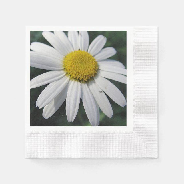 Big White Daisy Napkin (Front)