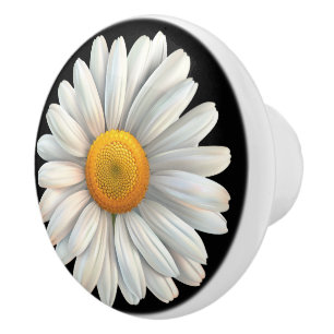 Big White Daisy On Black Ceramic Knob