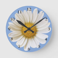 Big White Daisy on Light Blue