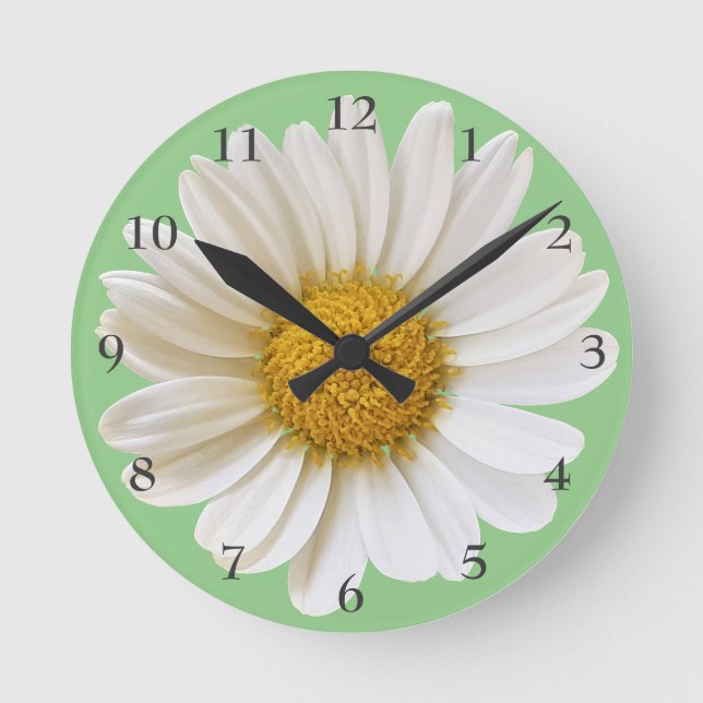 Big White Daisy on Light Sage Green Round Clock (Front)