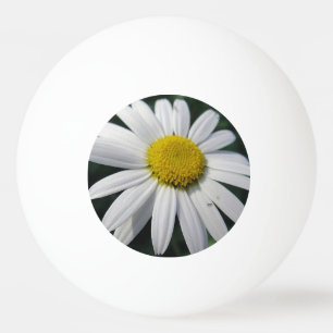 Big White Daisy Ping Pong Ball