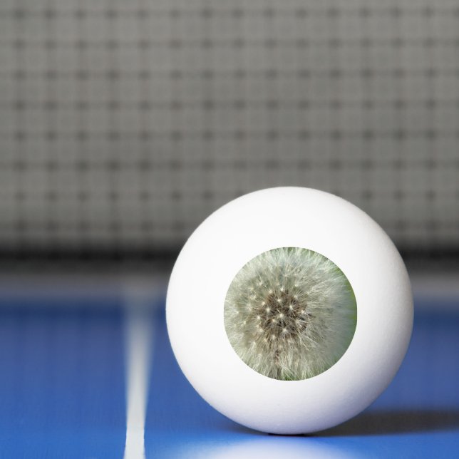 Big White Dandelion Ping Pong Ball (Net)