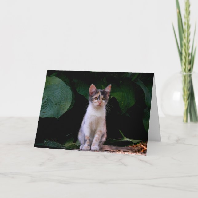 Big world card (Front)