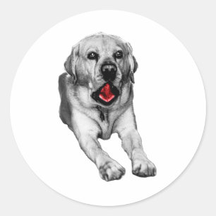 Big Yawn, Red Spark Classic Round Sticker