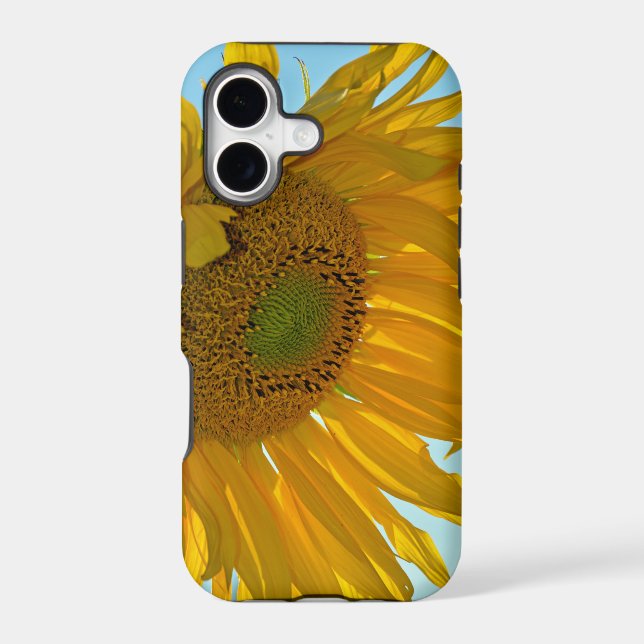 Big yellow sunflower (Back)