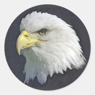 bigbird classic round sticker