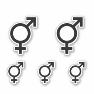 Bigender Gender Symbol