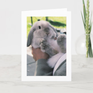 bigfeet holiday card