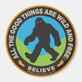 Bigfoot Coloured Button Magnet