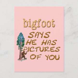 Bigfoot Has Pictures Postcard