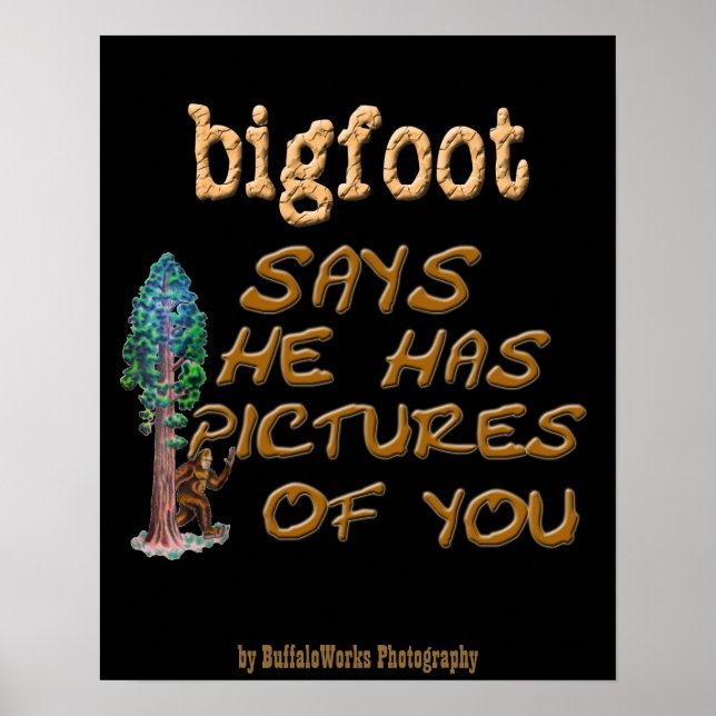 Bigfoot Has Pictures Poster (Front)