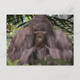 BIGFOOT PHOTOGRAGH POSTCARD