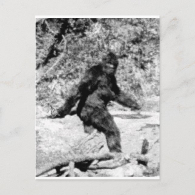 Bigfoot Postcard (Front)