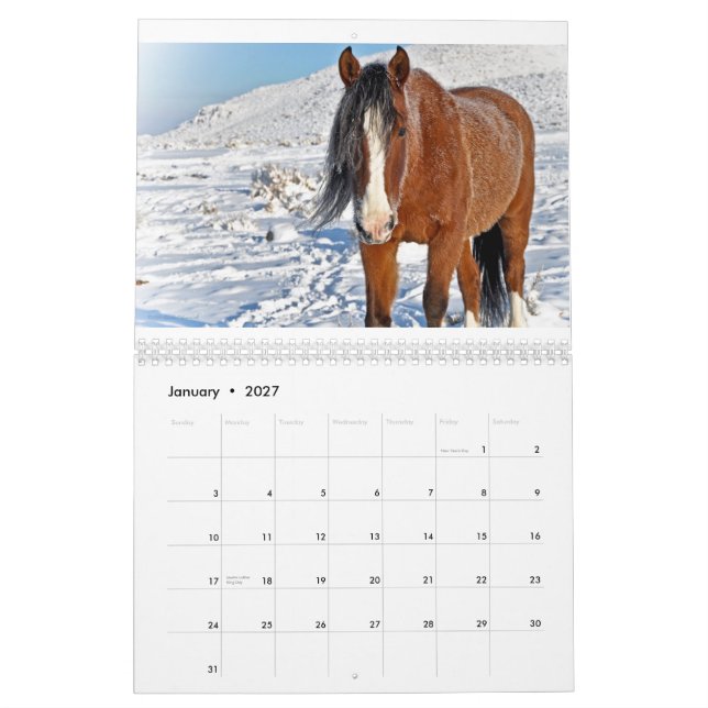 Biggest Little City Mustangs 2011 Calendar (Jan 2027)