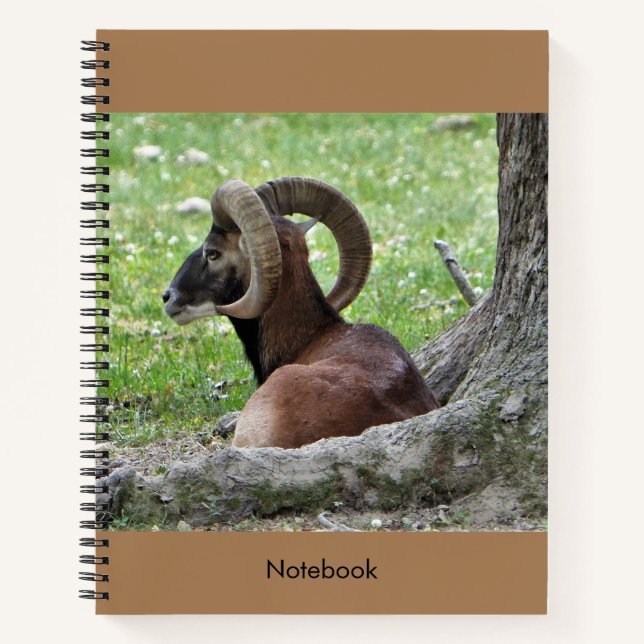 Bighorn Ram Notebook (Front)