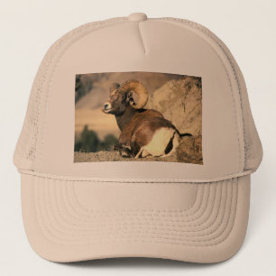 Bighorn Ram Trucker Hat