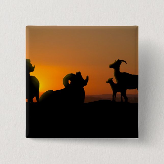 Bighorn Sheep 15 Cm Square Badge (Front)