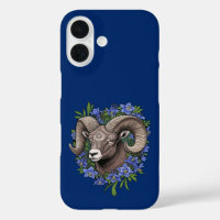 Bighorn Sheep And Blue Colorado Columbine Flowers