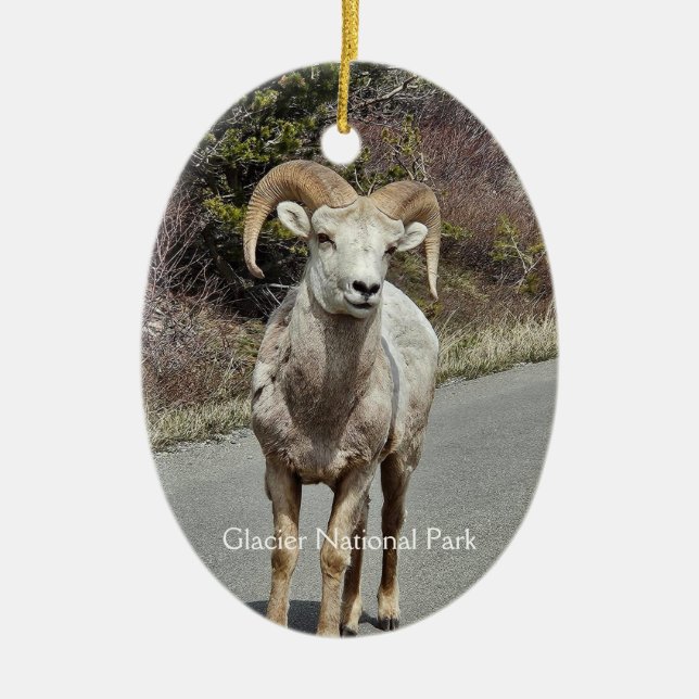 Bighorn Sheep Ceramic Ornament (Front)