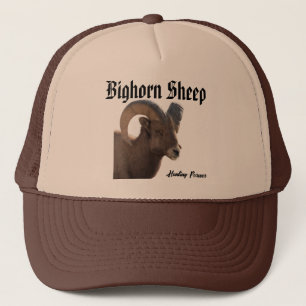 Bighorn Sheep Hat