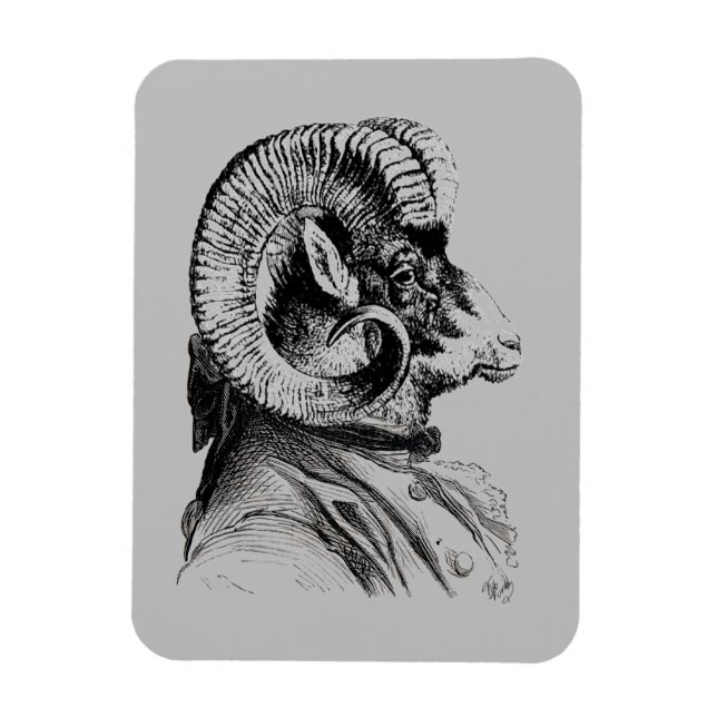 Bighorn Sheep In Suit Magnet (Vertical)