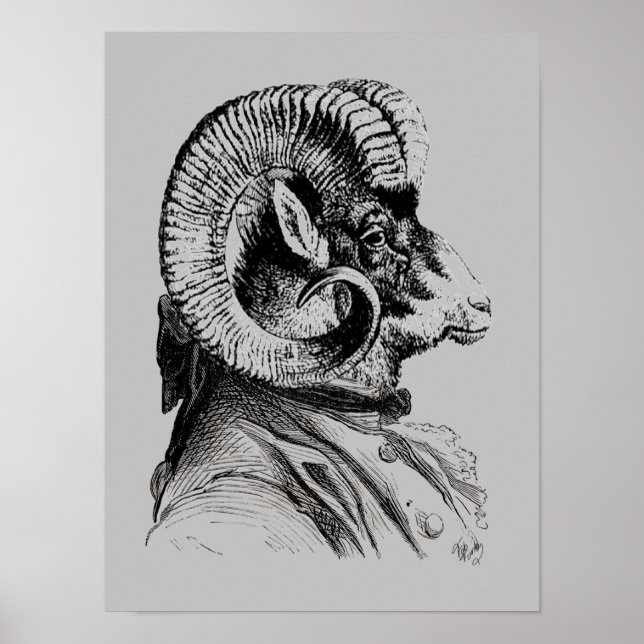 Bighorn Sheep In Suit Poster (Front)