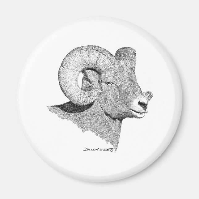 Bighorn Sheep Magnet (Front)