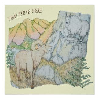 Bighorn Sheep & Mountain Goat Poster