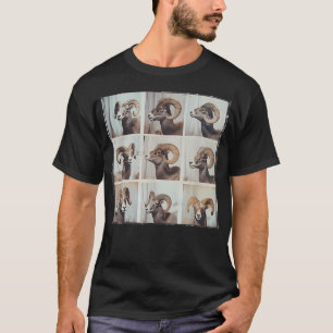 Bighorn Sheep Ram Mountain Sheep Funny Animal T-Shirt