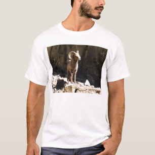 Bighorn Sheep Ram near rocks in Colorado. T-Shirt