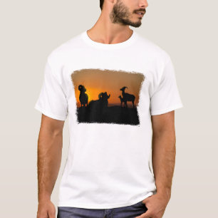 Bighorn Sheep T-Shirt