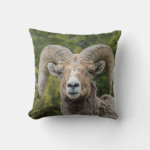 Bighorn Sheep Throw Pillow