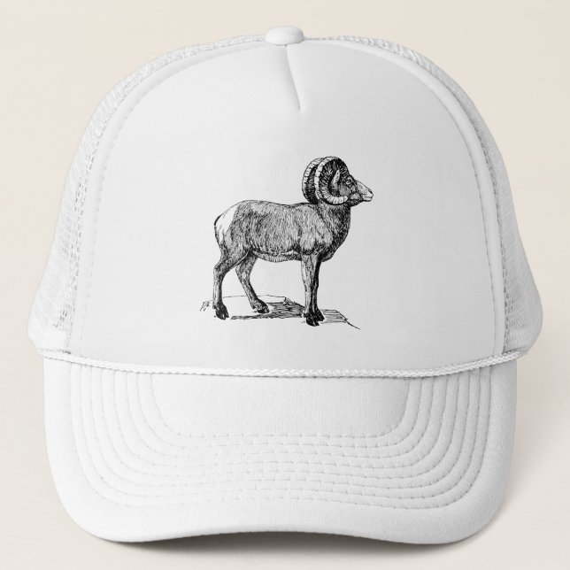 Bighorn Sheep Trucker Hat (Front)