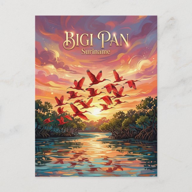 Bigi Pan Nature Reserve Suriname Postcard (Front)