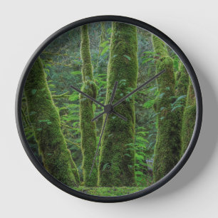 Bigleaf Maple Trees & Ferns Washington State Clock