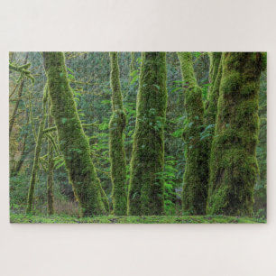 Bigleaf Maple Trees & Ferns Washington State Jigsaw Puzzle