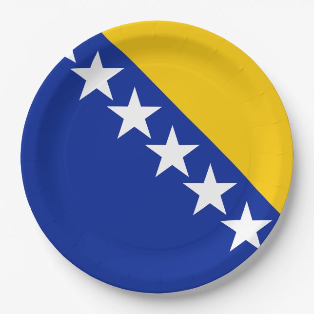 BiH Flag Coaster Paper Plate (Front)