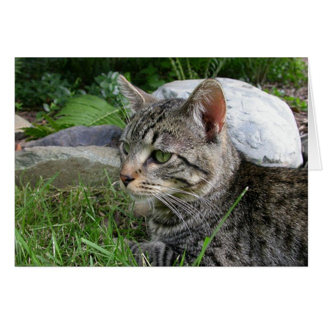 Bijou Stone (Front Horizontal)