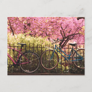 Bike Love Postcard