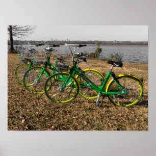 Bike Triplets Poster