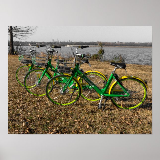 Bike Triplets Poster (Front)